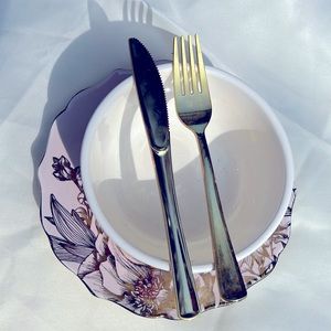 Dinner plates (4)
